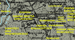danina Białokopytów