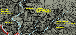 danina marcina mikołajowicza pisarza puszkarskiego